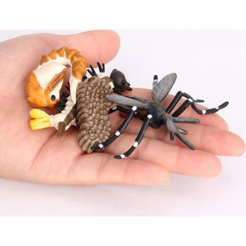 Meticulously Designed Mosquito Lifecycle Figures， Educational Accessory to Our