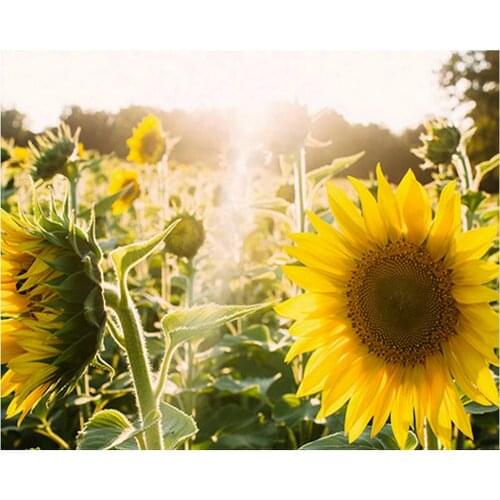 Crystal Mosaic Painting Rhinestones Full Diamond Embroidery sunflower DIY Square Diamond Painting Cross Stitch Needlework