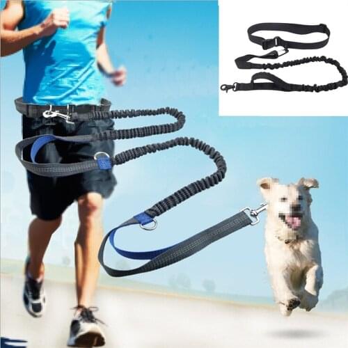 2021 New Leash Traction Rope Pet Dog For Hands Freely Running Belt Elastic Jogging Pull Dog Leash Metal D-ring Leashes