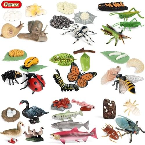 Oenux Simulation Animals Growth Cycle Action Figures Snails Salmon Bee Butterfly Bean Sprouts Model Educational Cute Kids Toy