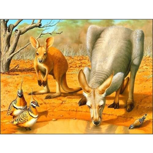 Animal Diamond Embroidery 5D DIY Diamond Painting Cross Stitch Kangaroo and Turkey Picture Of Rhinestones Wall Stickers decor