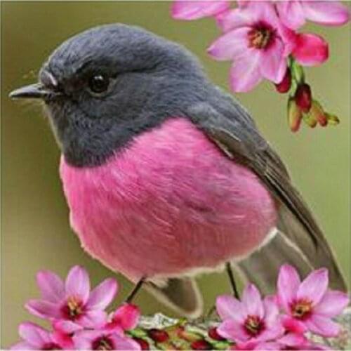 Full Round Drill Square Diamond 5D DIY Diamond Painting sparrow Embroidered Crystal Mosaic Gift Cross Stitch Art Home Decor