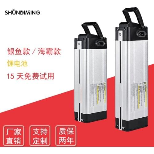 Electric Vehicle Lithium Battery Silver Lithium Battery Large Capacity Electric Bicycle Battery