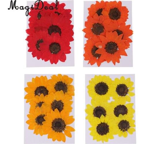 6 Pieces Pressed Natural Real Dried Flowers Sunflower for DIY Resin Ornament Craft Christmas Xmas Card Making Decoration