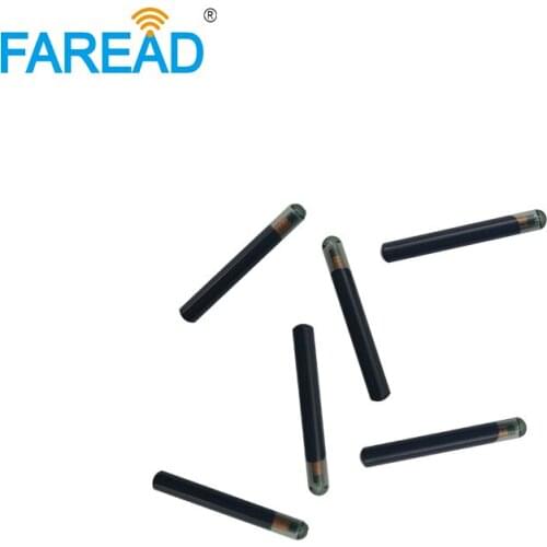 Free shipping new 4D60-80bits Blank micro Transponder Chip glass Ford Mazda Car Key