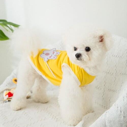 Pet clothes Thin and breathable green avocado satchel vest in Spring and Summer Teddy Chihuahua Cat two legged clothing