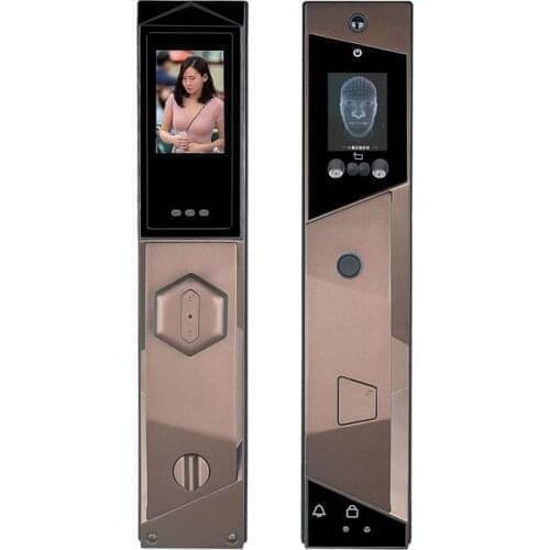 QLEUNG S923MAX Face Recognition Smart Camera Lock With Peep Hole Screen Wifi APP Fingerprint Palmprint Key Card Smart Lock