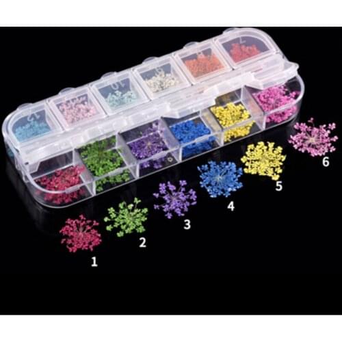 12 Colors Floral Stickers Nail Art Dried Flower Preserved Daisy Leaf For Gel Nail Polish Decoration Manicure Acrylic Tips