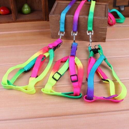 1 PCS Adjustable Rainbow Color Puppy Pet Dog Leash Small Puppy Cat Rabbit Kitten Nylon Ajustable Leash Harness Collar Dog Lead