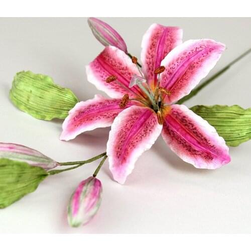 Lily Flower Leaves Lace Cake Mold Silicone Mold Fondant Mold Birthday Cake Decorating Tools Chocolate Sugarcraft Mold Candy Mold