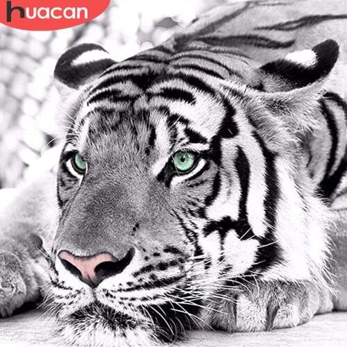 HUACAN Diy Diamond Painting Tiger Black White Diamond Art Mosaic Cross Stitch Animal Embroidery Home Decor