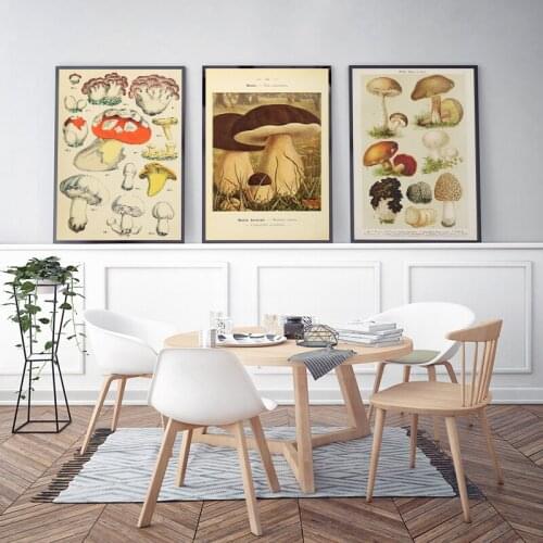 Vintage Educational Poster Mushroom Champignon Identification Reference Chart Illustration Print Canvas Painting Wall Picture