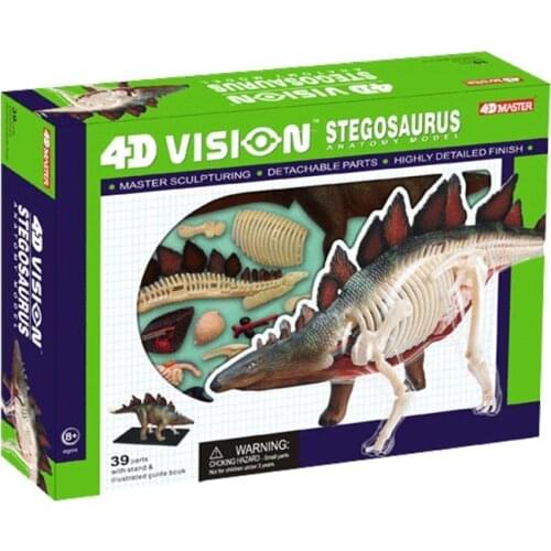 4D MASTER assembly Stegosaurus dinosaur animal model simulation teaching model free shipping
