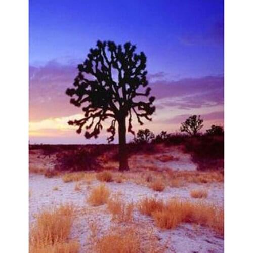 Diamond Painting 5D DIY Landscape Painting Wilderness Landscape Tree Scenery Picture Square/Round Diamond Cross Stitch WG3115