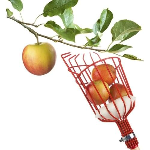 Garden Tools Metalic Fruit Picker Gardening Fruits Collection Picking Head Tool Fruit Catcher Device Greenhouse Fruit Picker