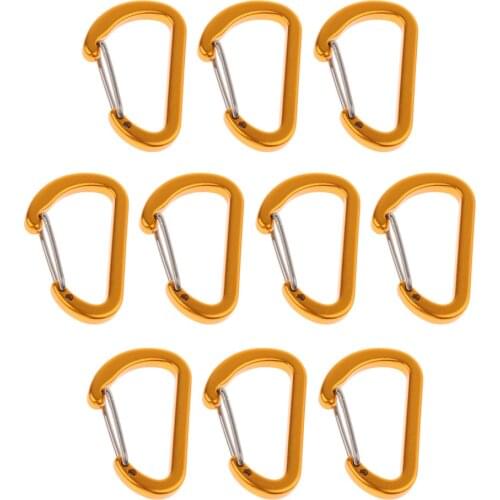 10Pcs 4mm Mini Aluminum Alloy Carabiner Outdoor D Shape Quickdraw, 1.57 x 0.96inch