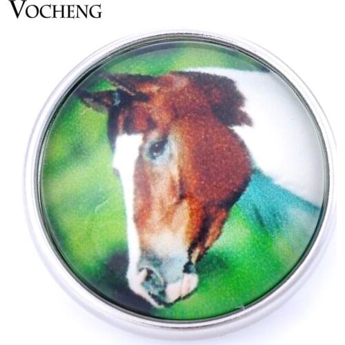 Vocheng Snap Button Charms 18mm Interchangeable Jewelry Glass Horse Vn-999