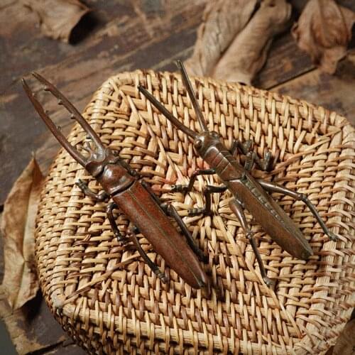 Solid pure copper small grasshopper/ beetle, handmade tea ceremony decorations, exquisite crafts, decorations
