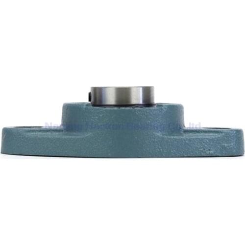 Gcr 15 UCFL204 (d=20mm) Mounted and Inserts Bearings with Housing Pillow Blocks