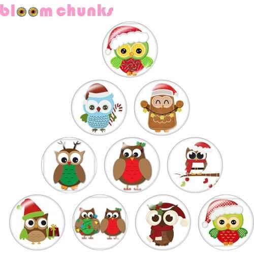 Owl Christmas Cartoon 10pcs mixed 12mm/18mm/20mm/25mm Round photo glass cabochon jewelry flat back Making findings S2030