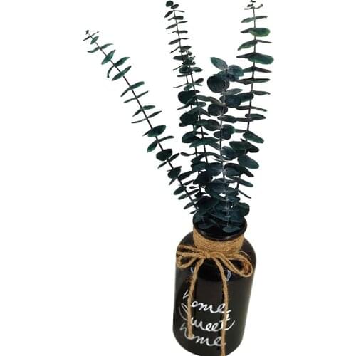 5pcs Eucalyptus Leaf Copper Coin 5yrs Long-Term DIY Materials Preserved Dried Flower Photograph Garden Home Art Life Decoration