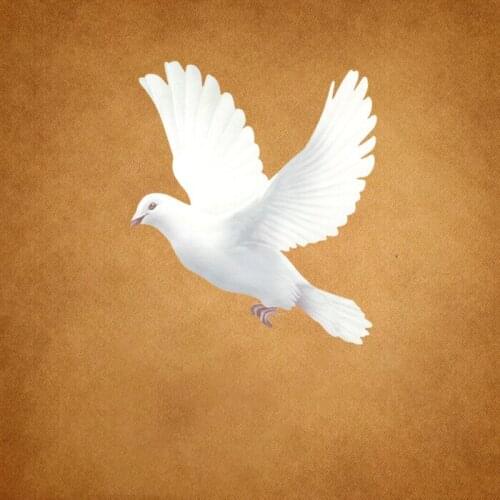 White Peace Dove Iron On patches DIY cartoon animal heat transfer stickers for childrens T-shirts can be washed