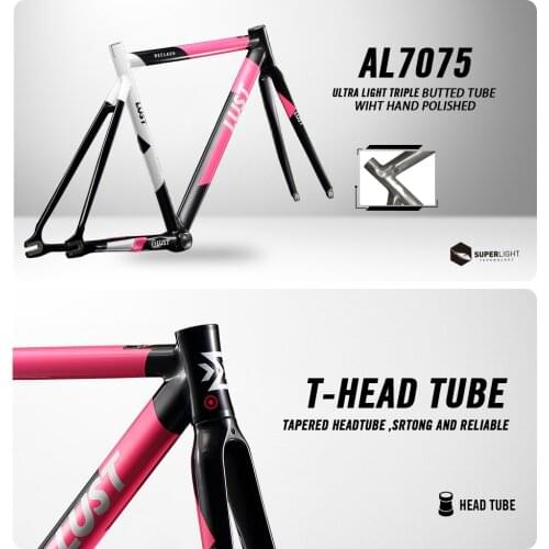 2020 FIXED GEAR FRAME SET/AL6066 EXTRA LIGHT FRAME SET/SINGLE SPEED ROAD BIKE FRAME WITH CARBON FORK BICYCLE FRAME