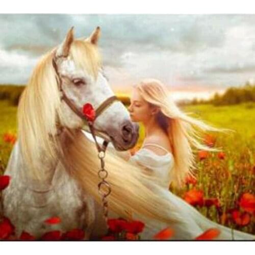5D DIY Diamond Painting Square/Round Diamond Figure Painting Beauty and White Horse Beauty Picture Cross Stitch Decor Art WG3057