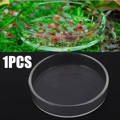 1Pcs 6.5x1.5cm Clear Glass Shrimp Feeding Food Dish Feeder Tray Round Container Aquarium Fish Tank Feeding Bowls