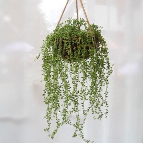 Green Artificial Plants Garland Hanging Fake Plant Needles Vine Branches DIY Flower Wall Home Living Room Wedding Decoration