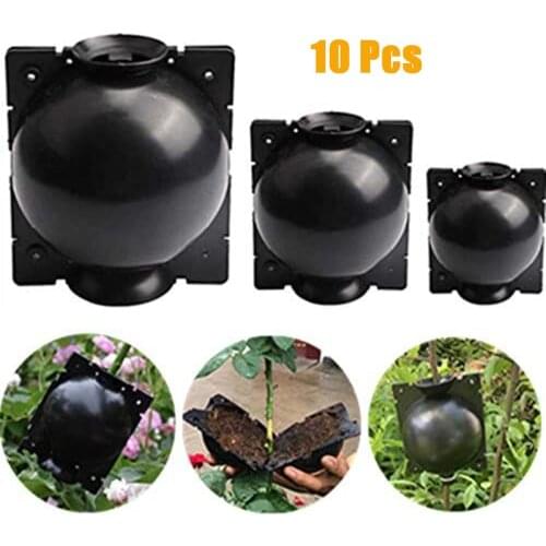 10PCS Plant Rooting Grow Box Reusable Plant Rooter Pot Garden Flower Fertilizers Box Grafting Botany Root Controller Ball