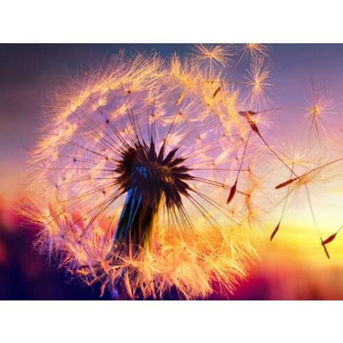 Diamond Painting Full Square/Round Drill 5D DIY Dandelion Landscape Embroidery Rhinestone Cross Stitch Decor Handmade Gift