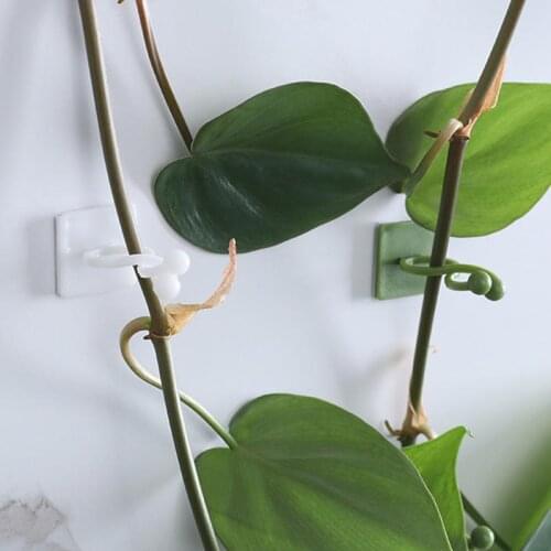 Plant Climbing Wall Self-Adhesive Fastener Tied Fixture Vine Buckle Hook Garden Plant Wall Climbing Vine Clips Fixed Buckle Hook