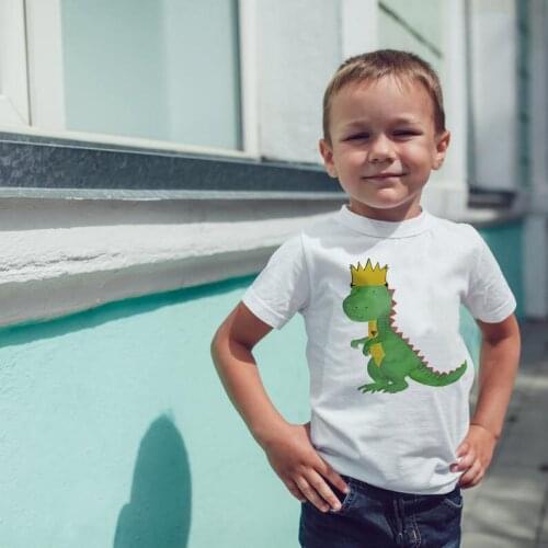 Dinosaur Birthday Shirt 1st Birthday T-Shirt Birthday Wild One Tee Dinosaur Party Shirt Dinosaur Theme Gift Boys Fashion Tee