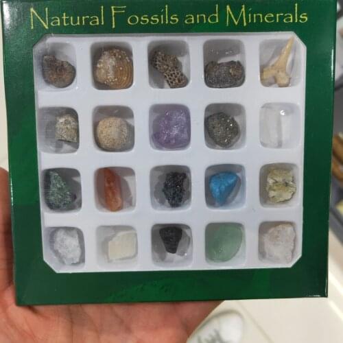 20pcs/Set Natural Irregular Stones Box for Children Education Home Fossiles Decor Raw Minerals Crystals Specimen Collection Gems