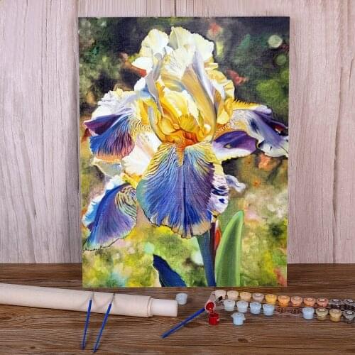 Flowers Paint By Numbers Complete Kit Acrylic Paints 40*50 Boards By Numbers Loft Wall Picture Children Wholesale Drawing