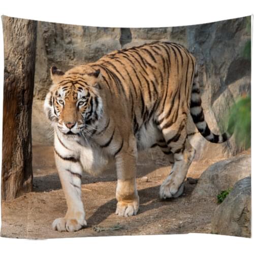 Creative 3D Painting Animal Photographs Tiger Tapestry Wall Hanging Bed Spread Beach Towel Table Cloth Yoga Mat Large Size