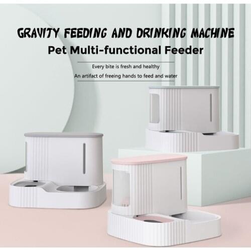 Pet Cat Dog Automatic Feeder Large Capacity 3L Puppy Food Bowl With Water Fountain Double Bowl With Elevated Stand