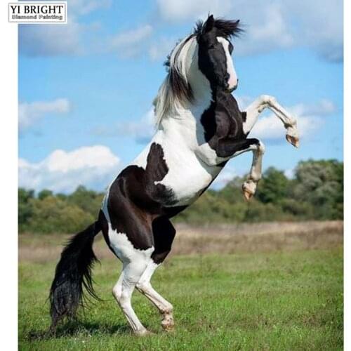 Hot Sale Full Square/Round Drill 5D DIY Diamond Painting "Horse Jump" 3D Embroidery Cross Stitch Mosaic Needlework Home Decor