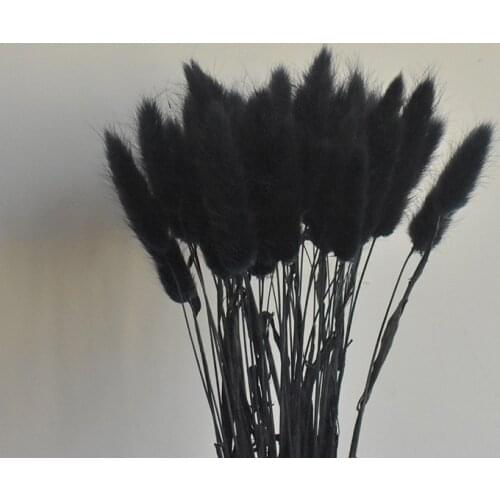 Rabbit Tail Grass Pampas Home Decor Wheat Ears Fluffy Feather Reed Dried Flowers Plants Natural 55-60cm Wedding Party Decoration