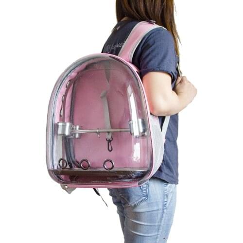 BZSHXTGS Expedition Backpacks