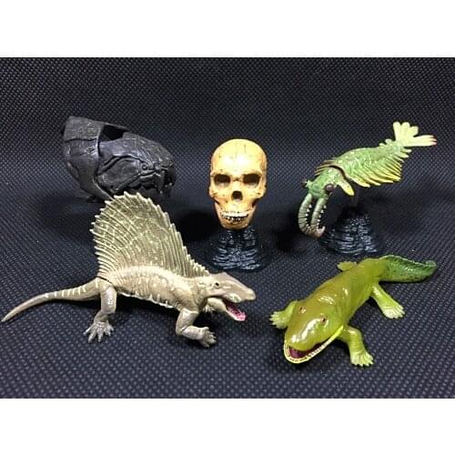 Rare pvc figure model toy acient lifte Paleontology: rare shrimp, heterodonta, Jialong 5pcs/set