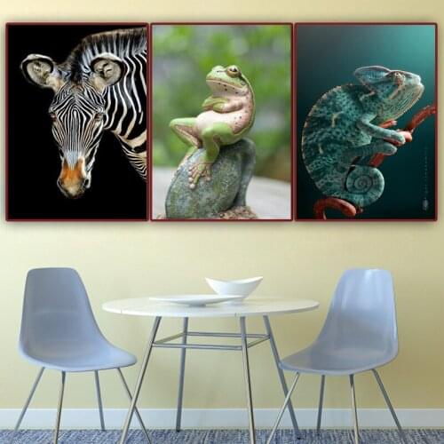 5D DIY Diamond Painting Painted Animals chameleon,frog,zebra,Mosaic Embroidery Cross stitch Embroidery Crafts Decoration