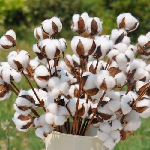 10PCS/LOT Artificial Cotton Flower Single Branch 59cm Simulation Flower DIY Wedding Decoration for Home Party Office