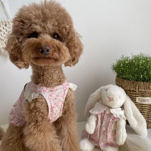 Korea Cute Delicate Lattice Style Summer Pet Dog Dresses Clothes For Spring Summer Clothes Puppy Skirt S-2XL