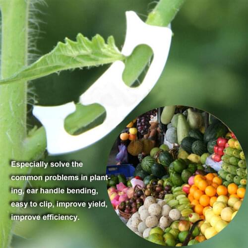 50pcs/100pcs Horticultural Plant Vine Growth Fixed Anti Bending Clip Tomato Stem Support Clip Plant Ear Stalk Anti Bending Clip