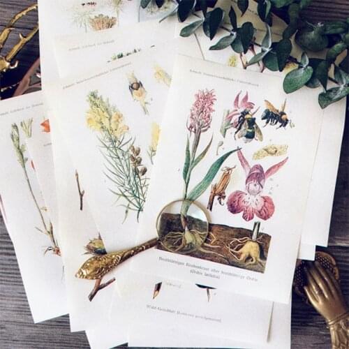 Vintage junk journal European and American distressed plant illustration DIY scrapbook can be written decorative material papers