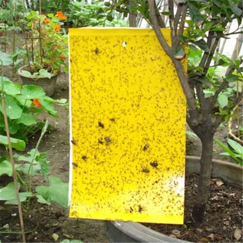 5pcs 20x15cm Fly Glue Trap Sticker Anti Moustique Aphids White Flies Mosquitoes Fruit Fly Catcher Killer