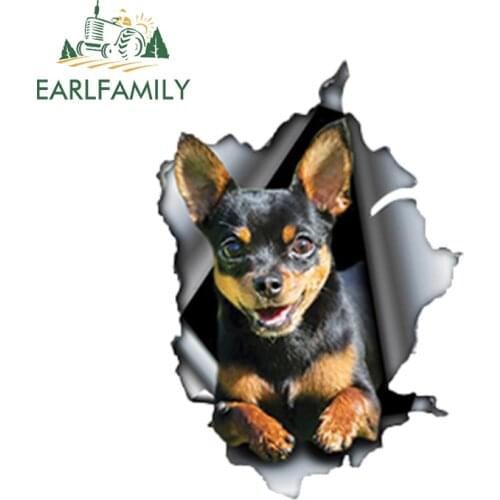 EARLFAMILY 13cm x 9cm Black and tan Chihuahua Car Sticker Torn Metal Decal Reflective Stickers Waterproof Car Styling Pet Decals