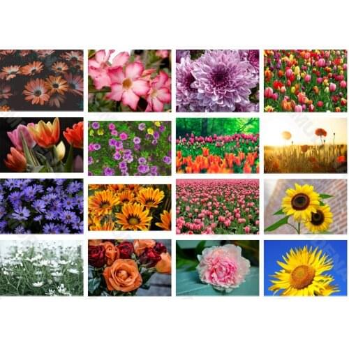 Diy Diamond Painting Flower Red Nordic Style Full Diamond Handmade Dot Inlaid Diamond Bedroom Living Room Sticker Wall